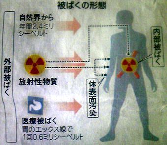 Zdf frontal21 福島原発事故の影響 （日本語字幕） 2011/8/9 oa. 【原発事故】福島原発事故 被爆の形態と被爆の人体影響:週サラ