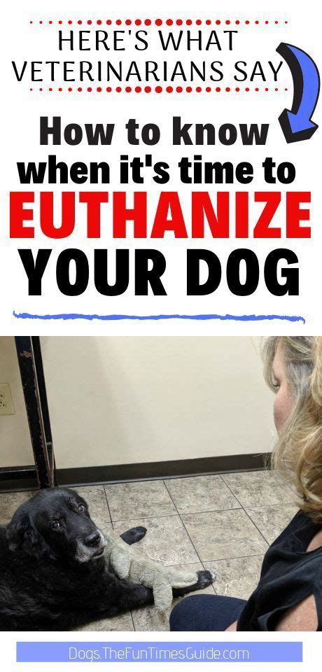 Ask your veterinarian if they provide this service well in advance of deciding whether to euthanize your pet. How Do You Know When It's Time To Euthanize Your Dog? My ...