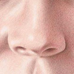 Colored pencil is the most fun, i think. Color Pencil Portraits - How to Draw the Nose | Colored ...