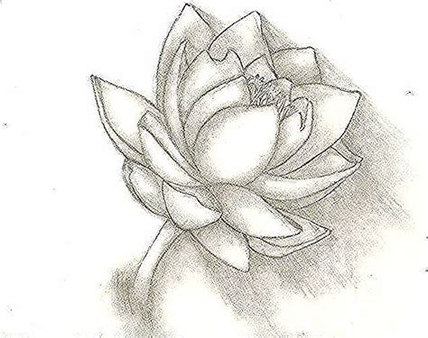 Bunga teratai bunga palau hiasan kolam hiasan taman arrificial flower. Mewarnai Kolam Bunga Teratai : Jual Bunga Teratai Lotus ...
