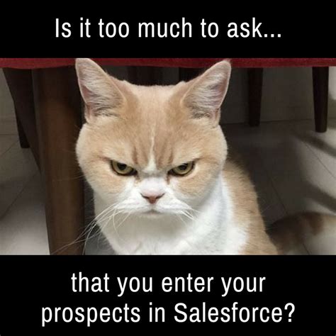 #Salesforce #CRM #Sales #whyadminsdrink #cloud #SFDC # ...