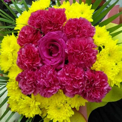 Same day florist flower delivery satisfaction guaranteed 800.756.6023 my account shopping cart(0). هولندا للزهور الصور - محل زهور‬‎ - البحرين