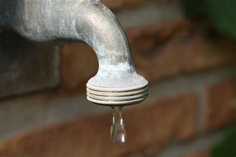 Here's how to fix it. 7 Way To Fix Garden Leaking Hose - The Best Miter Saw