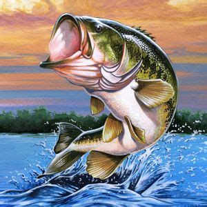 Download Image result for bass jumping out of water | Fotos de ...
