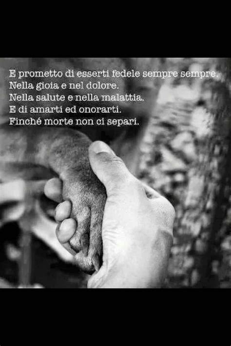 Pensieri e parole parla di un problema di comunicabilità nei confronti della persona amata. Vero amore... | Citazioni sui cani, Citazioni sagge, Citazioni