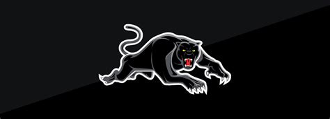 Including transparent png clip art, cartoon, icon, logo, silhouette, watercolors, outlines, etc. Panthers reveals renewed logos for 2019 - Panthers