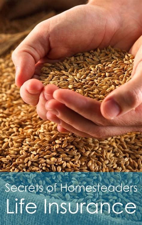 Modern Homesteaders Life Insurance and Benefits of Living ...
