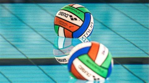 Pallanuoto, a loano nasce la löa waterpolo. Anche la pallanuoto si ferma - Daily Verona Network