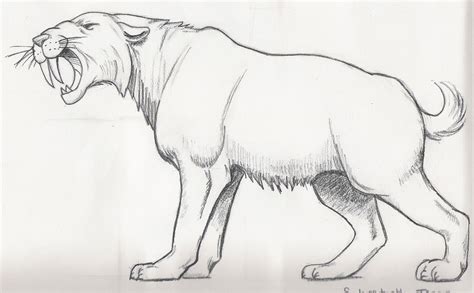 Maybe you would like to learn more about one of these? Saber Tooth Tiger Coloring Page - Coloring Home