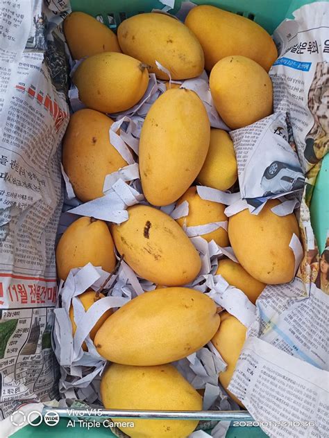 Di malaysia, untuk pekerjaan buruh umum paling rendah, kamu bisa dapat sekitar 7 jutaan. Cara Kenal Jenis Jenis Buah Mangga yang Popular dan Laris ...