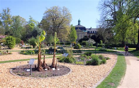 Sex in the garden, then sex with another couple. Botanischer Garten Münster : Botanischer Garten Munster ...