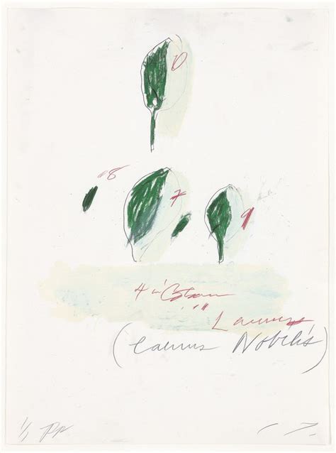 Hij hielp de atletiek om de. Cy Twombly, Natural History, Part II: Some Trees of Italy ...