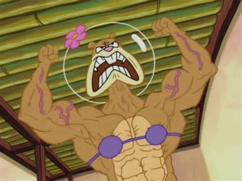 Who does he use it on? Sandy Muscle | SpongeBuddy Mania Forums