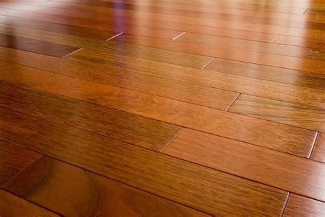 What is the best type of flooring for pets? 6 Criteria for Pet-Friendly Wood Flooring - Maximo Home