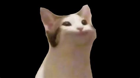 Cat pog wide mouth singing pop catto lip sync lipsync :| :o big mouth big mouth cat gif gif pop cat popping. Pop cat vs vibing cat - 9GAG