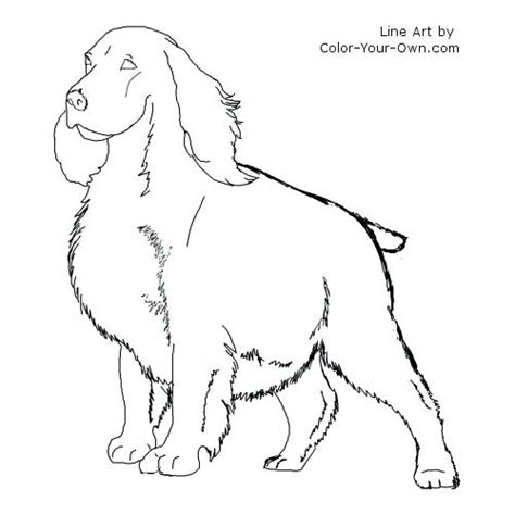 You're welcome to save this image to your computer but please don't link directly to it from a forum or web page. Cocker Spaniel Coloring Page at GetColorings.com | Free ...