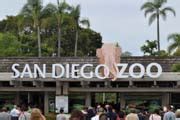 Not only is san diego zoo a major attraction, but san diego also has so much to offer travelers. 5 Best Hotels Near San Diego Zoo