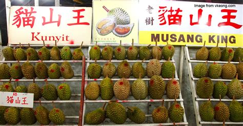 With its almost white coloured flesh, this durian has a mildly bitter taste but lots of flesh and. Malaysian Forests Are Disappearing Because Chinese Love ...
