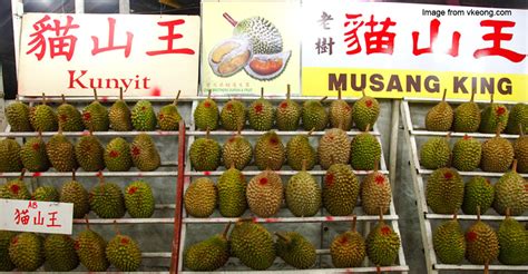 Canada is investigating allegations of forced labour in malaysia's palm oil and glove manufacturing industries, the government said on friday. Malaysian Forests Are Disappearing Because Chinese Love ...