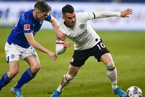 Please upgrade to a modern browser. Eintracht Frankfurt vs Schalke 04 Dream11 Team Prediction- Check Captain, Vice-captain and ...