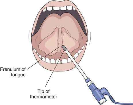 Place the thermometer tip under the tongue. Measuring Vital Signs | Nurse Key