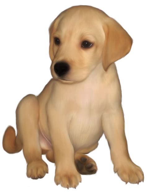 Labrador Retriever Golden Retriever Puppy Clip art - Painted Small Yellow Labrador Retriever PNG ...