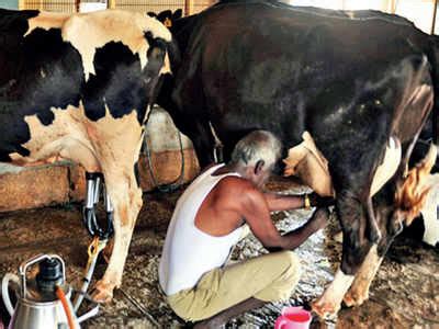 Secretary, drug control authority, national pharmaceutical regulatory division, ministry of health malaysia, lot 36, jalan universiti, 46200 petaling jaya, selangor. Gujarat FDCA to start checking milk in villages ...