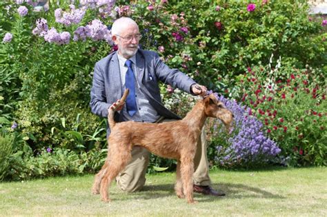 During the first year of the puppy's life, it will keep you very busy with many activities, some of which could be destructive or dangerous to. Record Breaker Kerrykeel Ruaraidh - Best Puppy, World ...