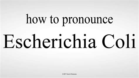 Uses of heist as a noun. How to Pronounce Escherichia Coli - YouTube