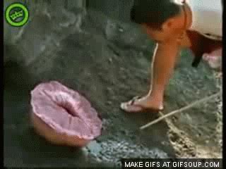 Enjoy the hottest porno videos from any category you can imagine. Animated GIF - Find & Share on GIPHY