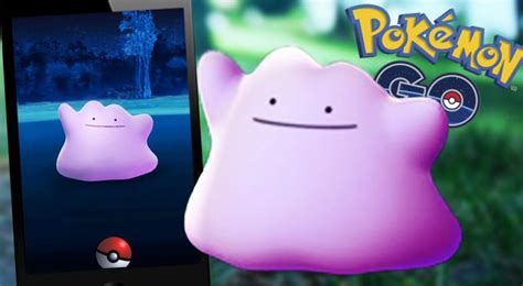 Check spelling or type a new query. Second Generation Pokemon may be coming to Pokemon Go soon - Phandroid