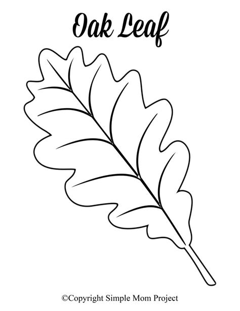 Slash out the form and hire it for coloring, crafts, stencils, and far more. Free Printable Large Leaf Templates, Stencils and Patterns ...