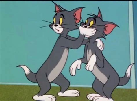 Кайла, работница престижного отеля, где обитает мышонок джерри, рискующий нарушить ход дорогой свадьбы, нанимает уличного кота тома. Pin by Violet chan on Reactions in 2020 | Tom and jerry ...