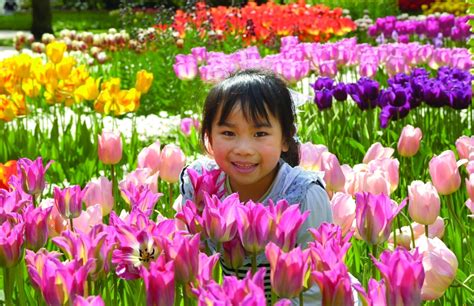 Tutti volevano i tulipani, i fiori diventarono uno status symbol, la gara. Scopri il parco dei tulipani in Olanda: Keukenhof