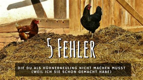 Ein garten ist ein wunderbares hobby, das gartenverliebten menschen dann auch noch kulinarisch dankt. Huehnerhaltung-fuer-Anfaenger
