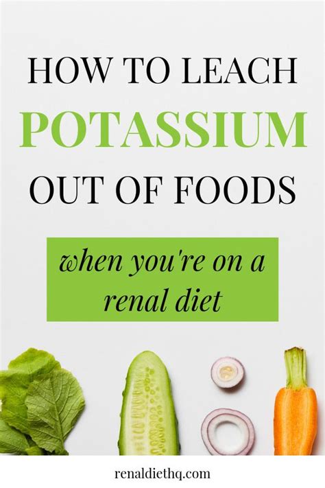 Mashed potatoes is definitely one of the dishes that people on renal diet tend to steer clear from. Renal Diet Recipes Pdf - 1000+ images about Low Potassium Diet on Pinterest ... : A new diet is ...