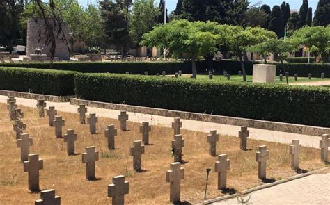 Durante la narrazione, il potere è detenuto dagli elefanti, che lo conquistarono parecchie decine di anni prima dopo secoli di dominio delle tigri. L'erba del vicino è sempre più verde, anche in cimitero ...