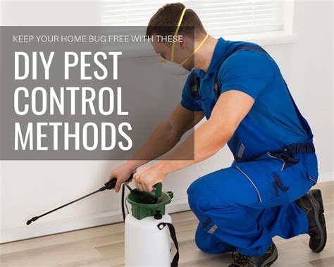 Diy pest control tips from the pros. Keep Your Home Bug Free with These DIY Pest Control ...