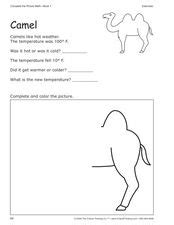 You can see them at the zoo. Camel Worksheet for 3rd Grade | Lesson Planet