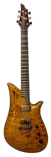 Most orders are eligible for free shipping. Gold Fusion Guitar - Visionary Instruments