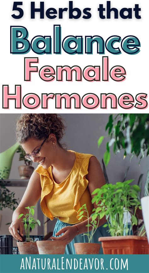 A balanced diet is essential for a balanced system. 5 Supplements to Balance Female Hormones Naturally - a ...