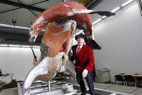 Like its predecessors, body worlds 3 presented more than 200 authentic specimens, including organs and whole body specimens, that have undergone plastination—von hagens' groundbreaking method of halting decomposition and preserving the body. Body Worlds: Gunther von Hagens' plastination of human ...