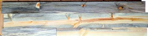 Find deals on products in pest control on amazon. Beetle Kill Pine wall panel - Sustainable Lumber Company