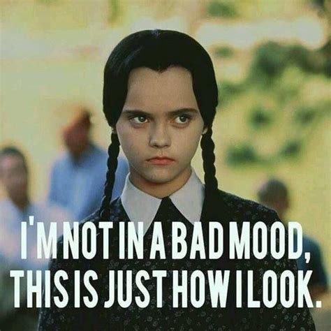 It takes place in the summer and the camp chippewa plot is only one half of the movie, wednesday's riot lasting. Pin by Anička on Shhh, I'm introverting. | Wednesday addams quotes, Funny quotes, Bad mood