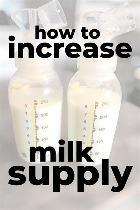 What to feed nursing dog to increase milk. 8 Effective Tips on How to Increase Milk Supply Fast! in ...