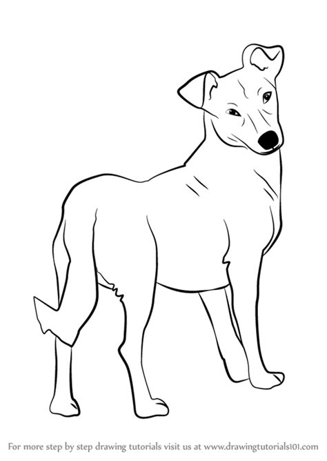 The above steps are important but don't forget to pay attention to the dog's joints. Cute Dog Anime Drawing at GetDrawings | Free download