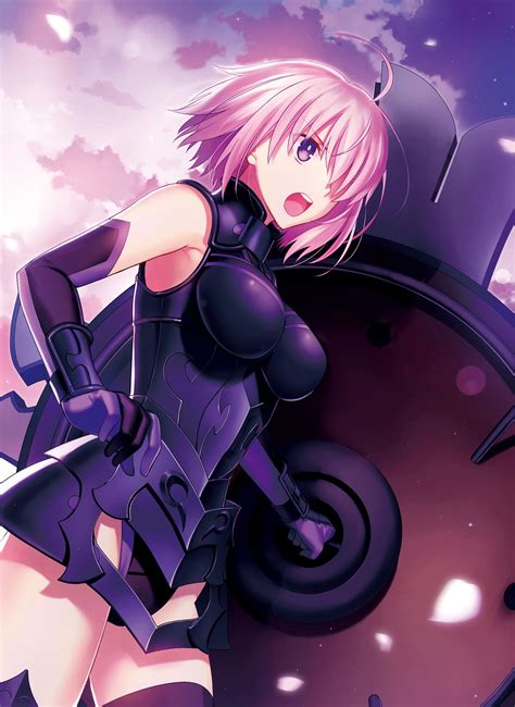 The organization issues a grand order for a holy grail expedition to investigate, uncover, and perhaps destroy the singularity responsible for wiping out mankind. Fate Series, Fate Grand Order, Shielder (Fate Grand Order ...