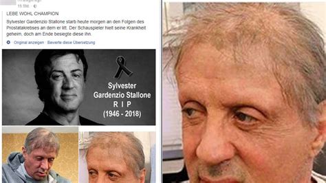 Der schauspieler sei enttäuscht gewesen, wie sich seine rolle im laufe der jahre entwickelt habe. Sylvester Stallone gestorben? Schauspieler kommentiert ...