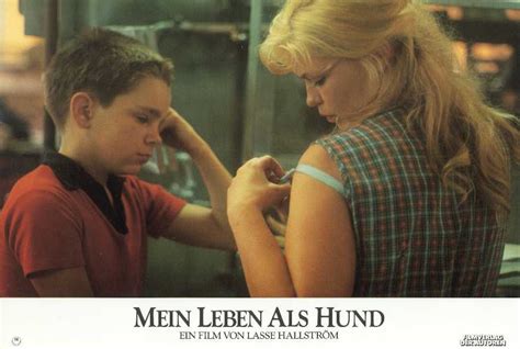 Provided to youtube by the orchard enterprises mein leben als hund · britta irgendwas ist immer ℗ 1999 flittchen records released on: Mein Leben als Hund