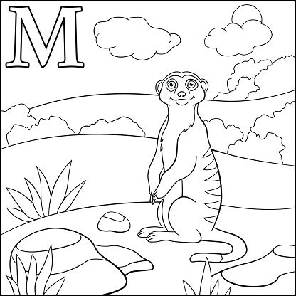 In addition to printing the animals, you can copy a printout (click here for instructions) and paste it into a painting program (like paint) and color the. Coloring Page Cartoon Animals Alphabet M Is For Meerkat Stock Illustration - Download Image Now ...